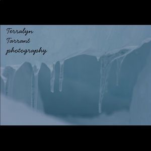 Meet your Posher, Terralyn